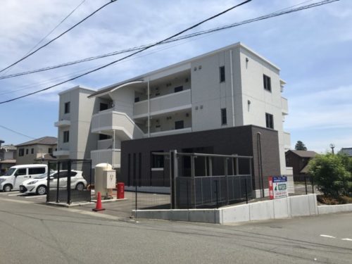 パラネミスタ 305